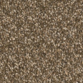 Swashbuckler 3.0 - Mocha Beige